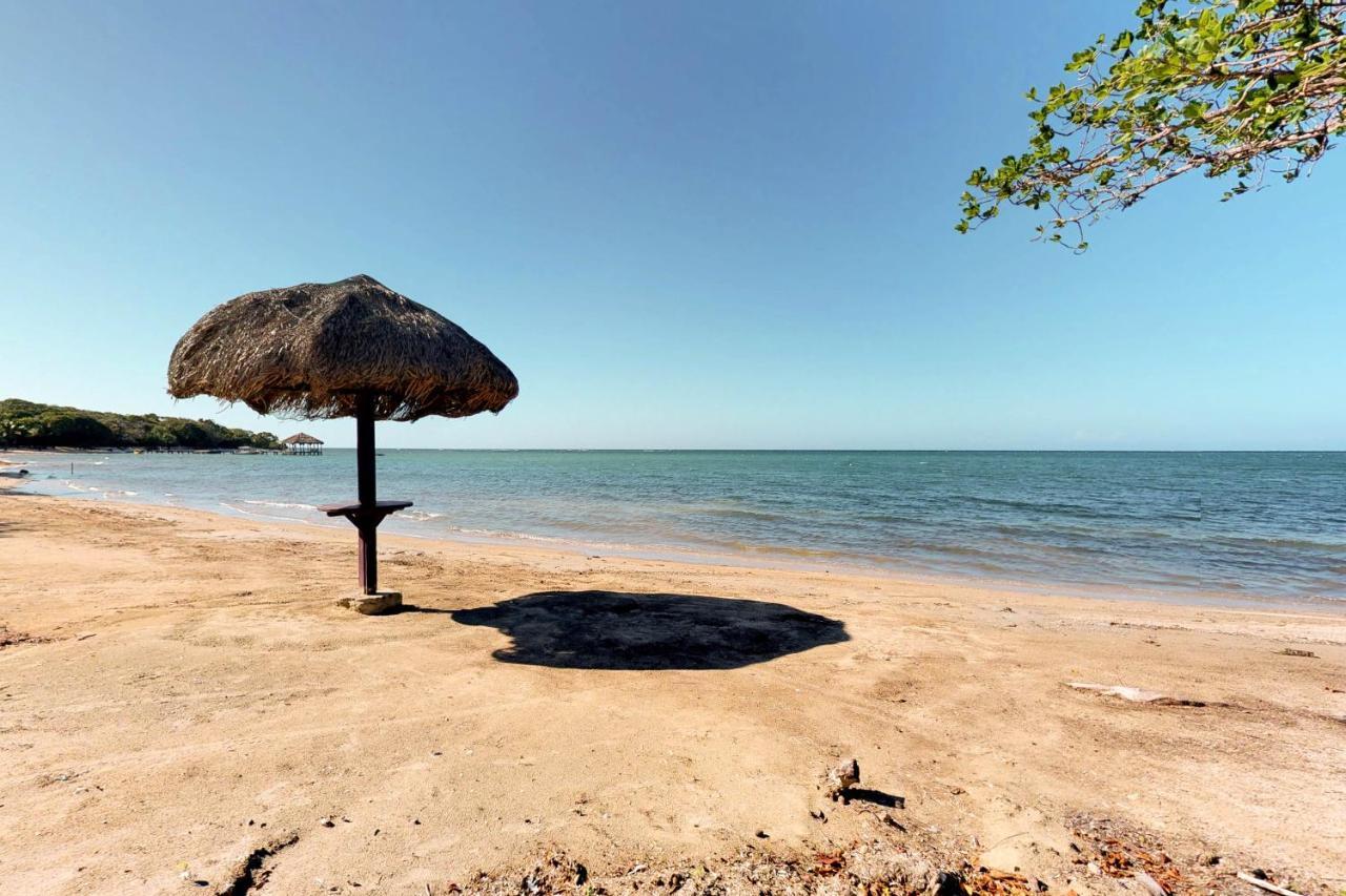 Private Beachfront Paradise Palmetto Bay Extérieur photo